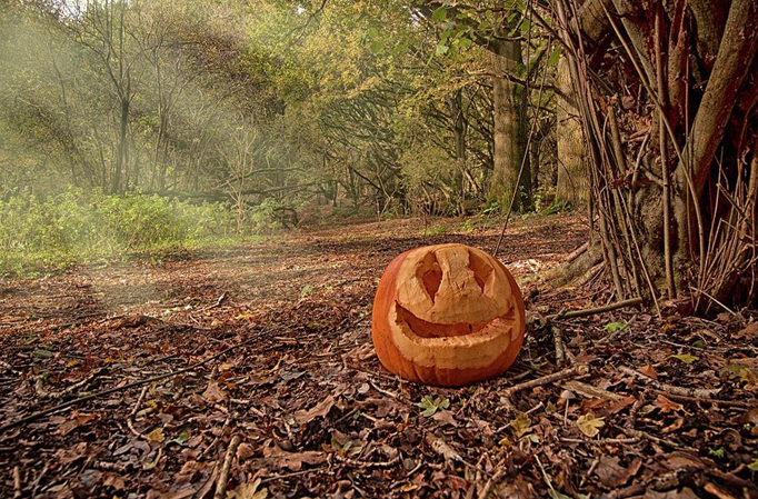 Tom and Alfred friendship